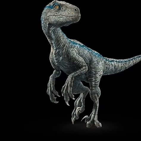 Dinosaur