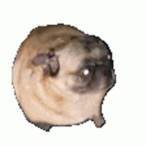 Yipiyuk