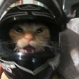 O1LSL1CK