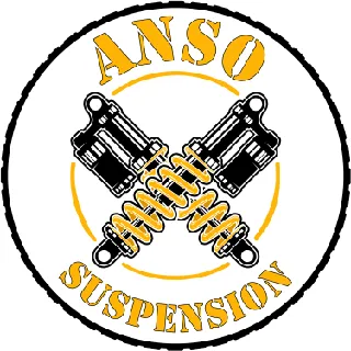 ANSO