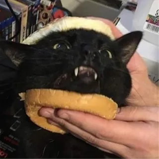 Amoory