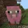 magic_ninja