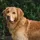 FlipFlop4