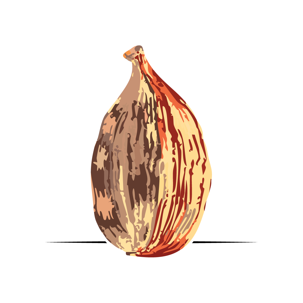 Cardamom