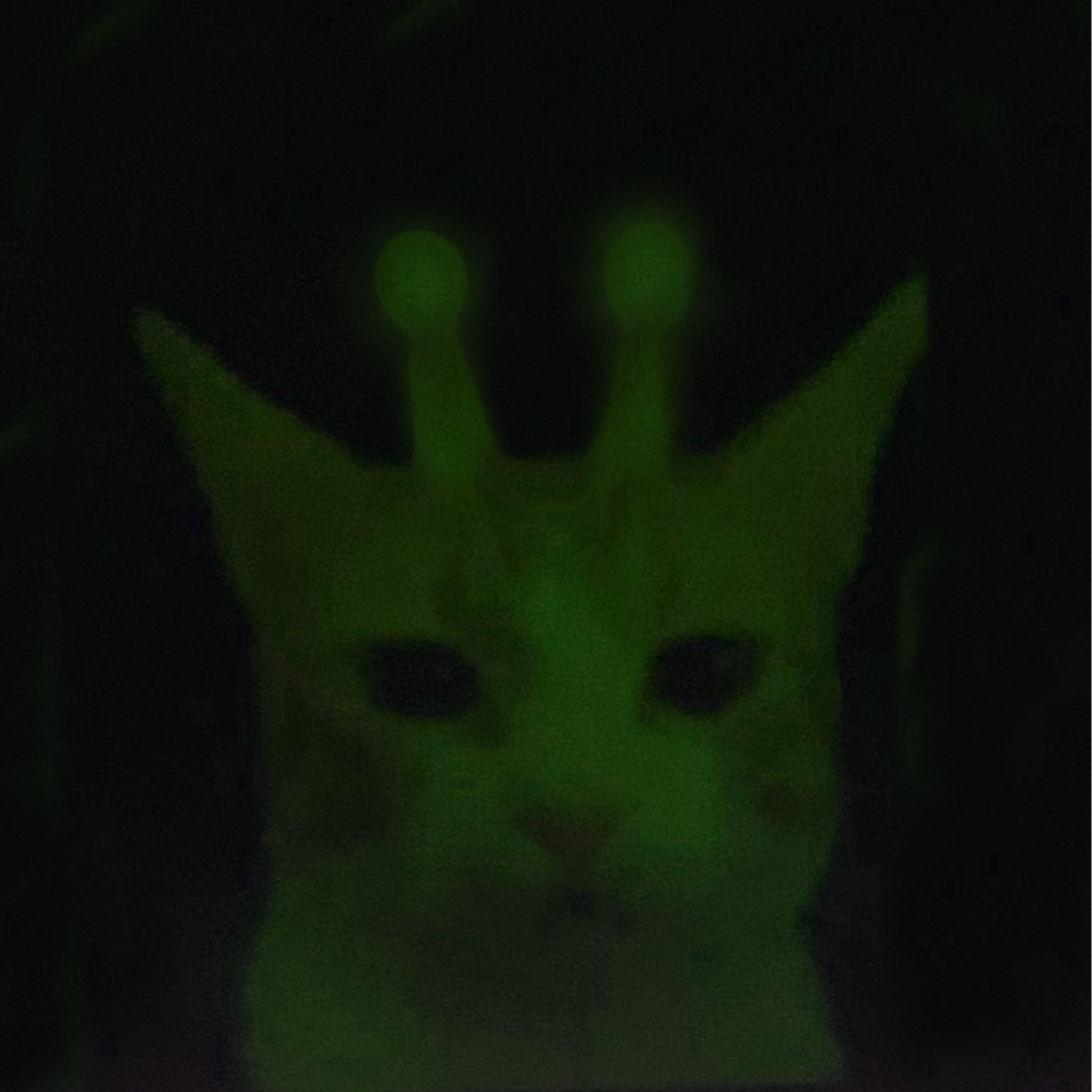 xyroh