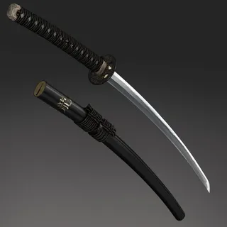Casslicer