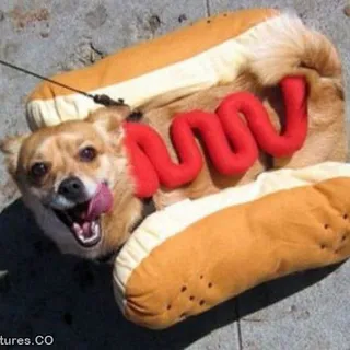 kiwyy