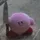 Knochen