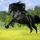 AmazingHorse