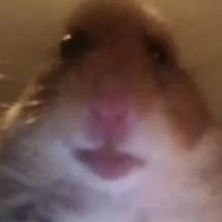 Sebastian_179