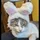 swoozle