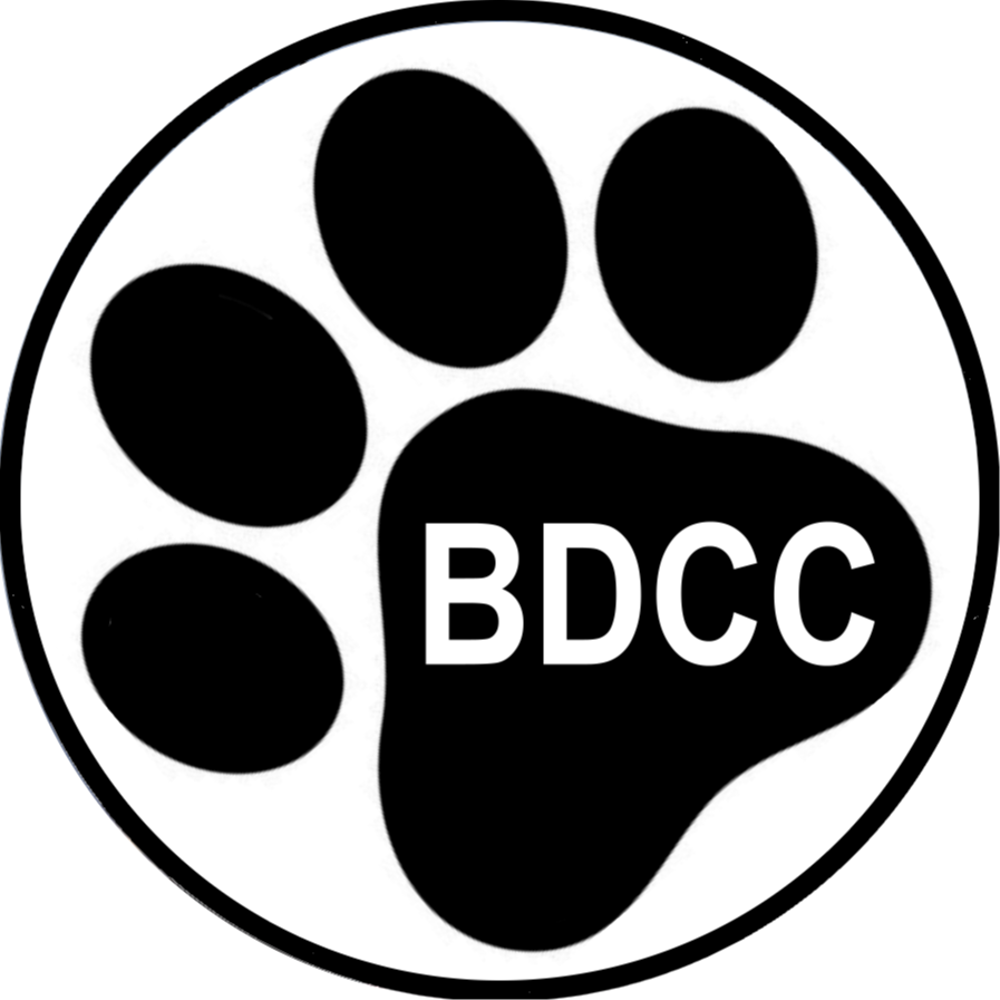 Big Dog Custom Creations