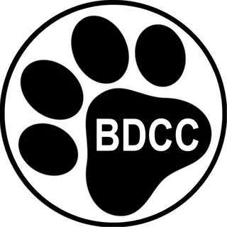 Big Dog Custom Creations