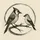 ironfinch