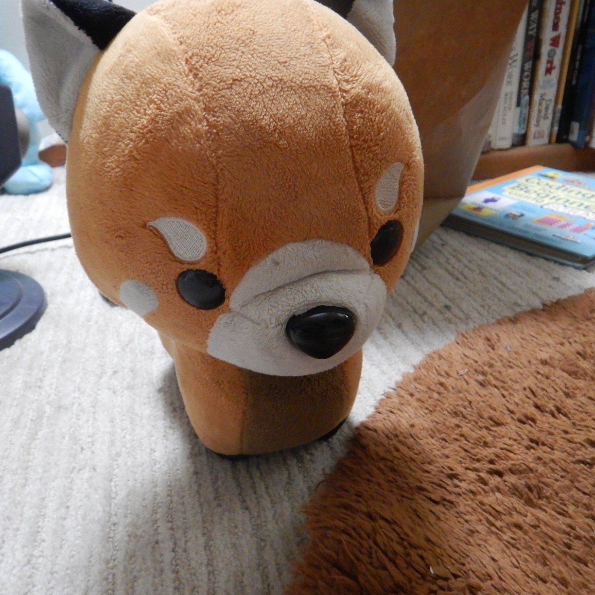 The Fox