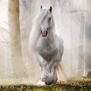 Flufy