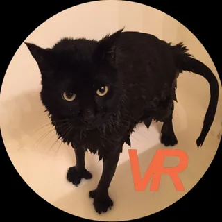 VisualReversal