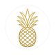 PineappleAUT