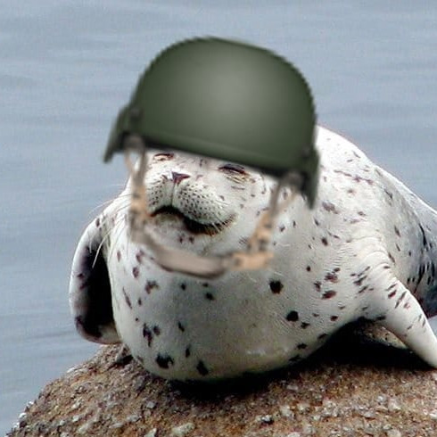 Navy Seal