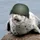 Navy Seal