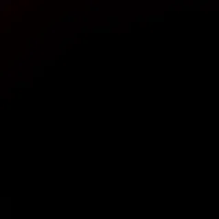 Zelvak_0