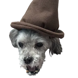 Bonnifur