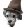 Bonnifur