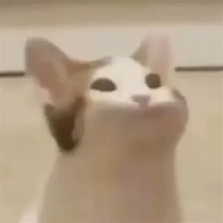 Lelek