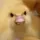 Duck 3d models