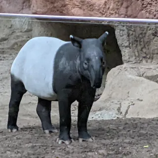 agabr