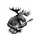 Moose