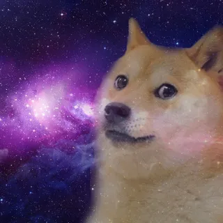 spacedoge14
