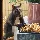 Schattenhörnchen