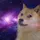 spacedoge14