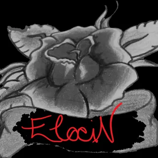 Elocin