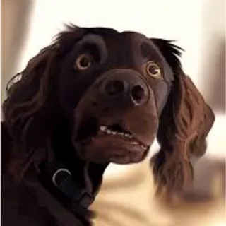 podo