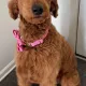 CaseyJ