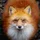 AstralFox