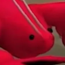 squiddude