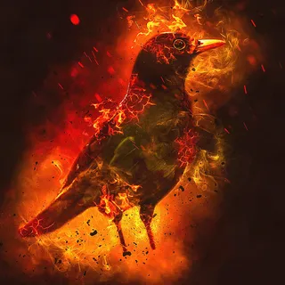 lRaven