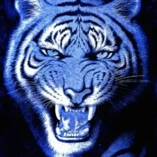BlueTiger12