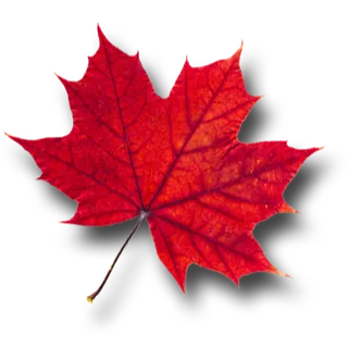 RedLeaf Products