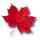 RedLeaf Products