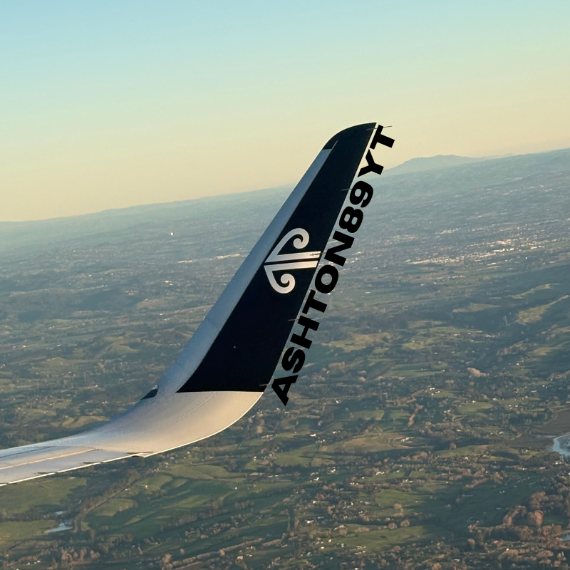AirbusAviator89
