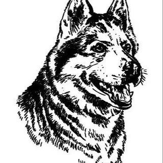 Menuchim