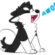 DoctorWoofle
