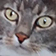 NOu