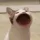 Crazy