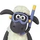 Mr K