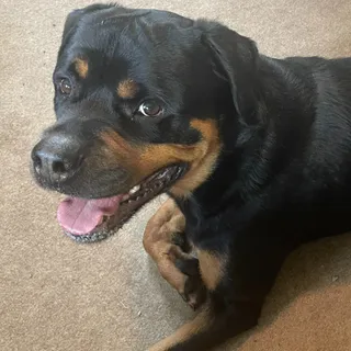 fmmurph